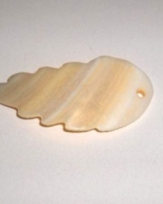 CONTA MADREPEROLA 2