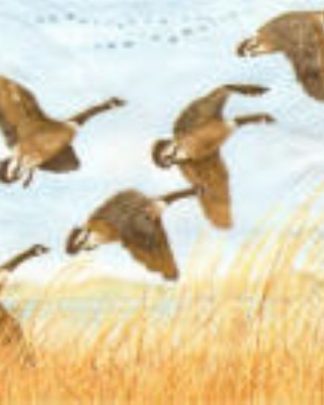 GUARDANAPO 1210-6224