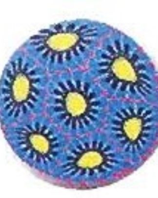 CANA MILFLORES FLOR AZUL E AMARELA