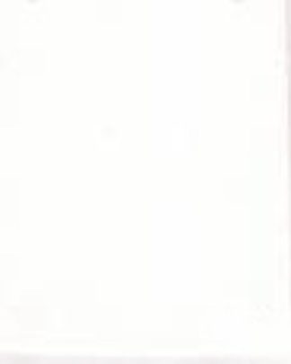 ACRILEX DIMENSIONAL BRILHANTE BRANCO 519