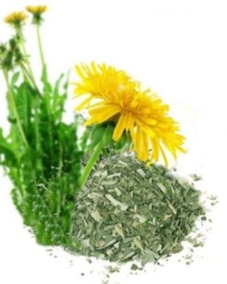 Erva Dente Leao cortada