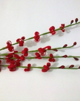 FLORINHAS VERMELHAS