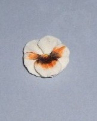 AMOR PERFEITO BRANCO