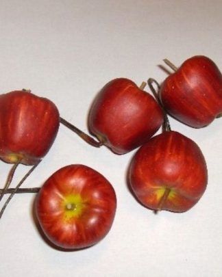 MAÇÃ MINI