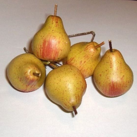 PERA MINI