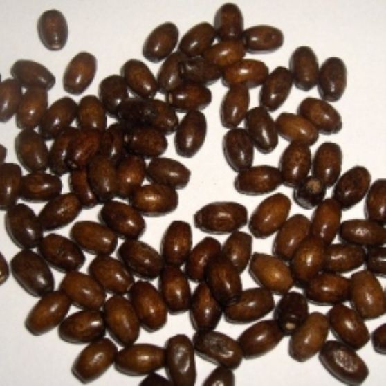 CONTA MADEIRA M03