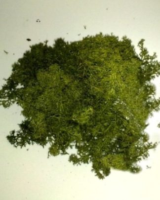 MUSGO NATURAL VERDE ESCURO