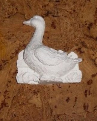 PATO NA CERCA