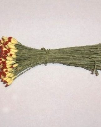 PITUQUINHA PINTADINHA