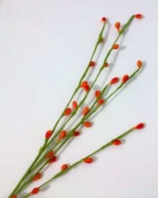 BOTOEZINHOS LARANJA