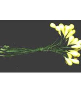 CEREJA AMARELO