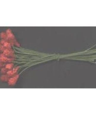 CEREJA ROSA ESCURO COM GLITTER