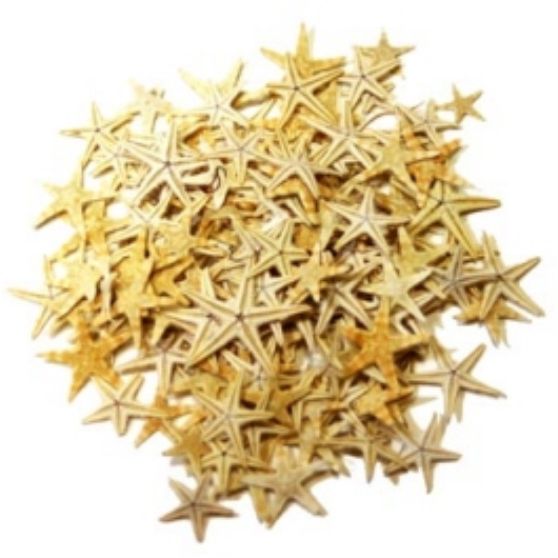 Estrelas do Mar 1-3cm Mini selecionadas - 20 unidades