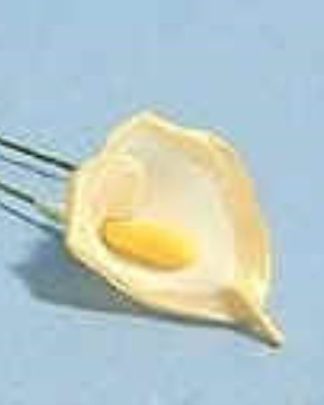 COPOS LEITE BISCUIT 6CM