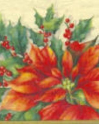 GUARDANAPO GPNAT 319