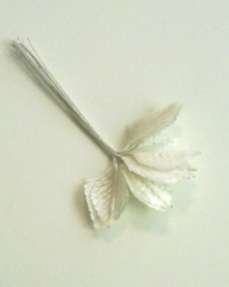 FOLHAS DE CETIM BRANCAS