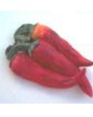 MALAGUETAS