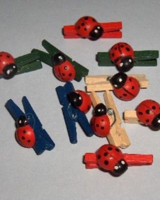 Molinhas Mix Joaninha