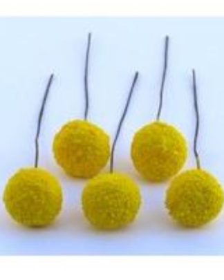 PISTILO MARGARIDA