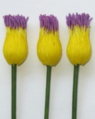PISTILO NENUFAR VIOLETA