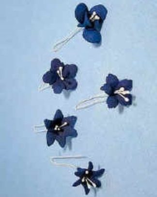 FLORES DE MASSA 4.03 - CORRIOLA