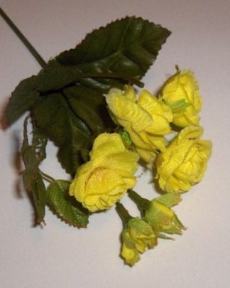 ROSINHAS AMARELAS