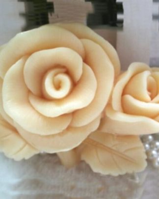 Rosas molde silicone