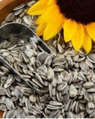 Sementes de Girassol