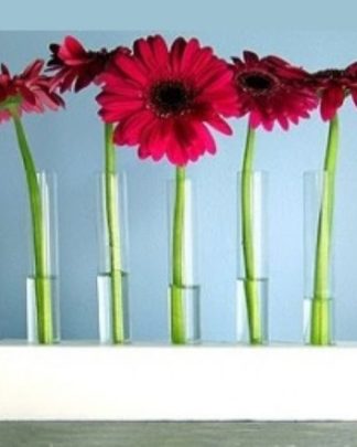 Suporte para 5 tubos ensaio 30x10x10