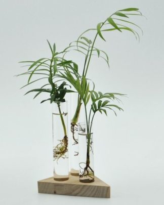 Suporte Triangulo 3 Tubos de Ensaio