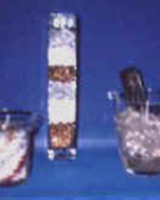 BALDE DE GELO EM GEL