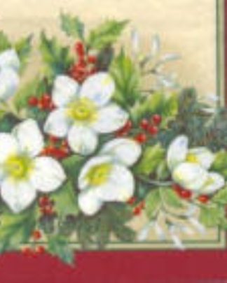 GUARDANAPO GPNAT 309