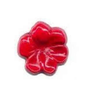 Flor Rener Molde Silicone