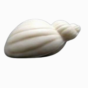 Búzio 3 D molde silicone