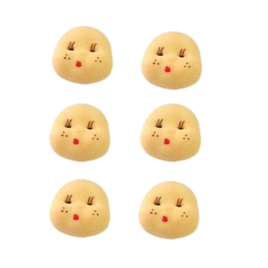 CARINHA SAPECA biscuit