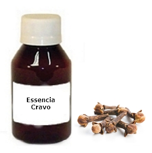 Essencia Cravo