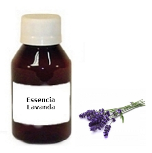 Essencia Lavanda