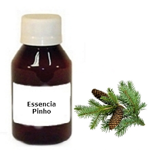 Essência Pinho