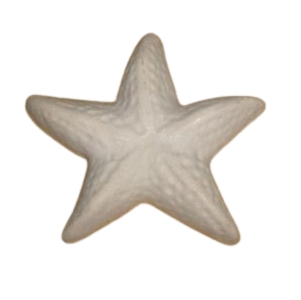 Estrela do Mar baixa molde de silicone