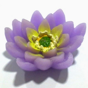 Molde de silicone Nenufar flutuante