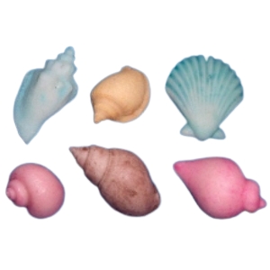 Molde Silicone Buzios