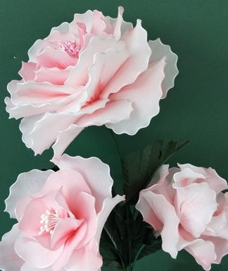 Camélias - Meia de seda