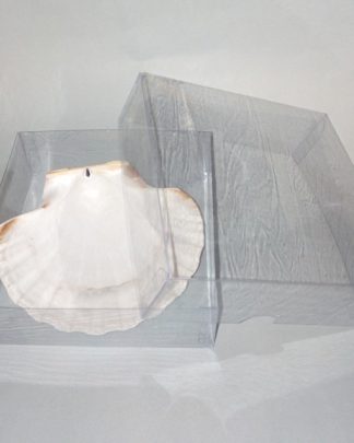 Caixa Quadrada 12x12x4 cm