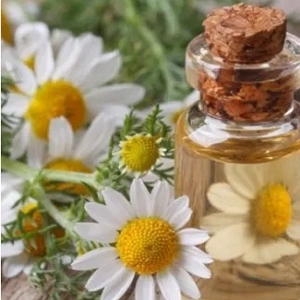 Extratos Glicólicos