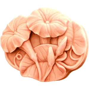 Molde Silicone Petunias