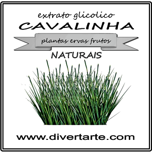 Extrato Glicólico Cavalinha