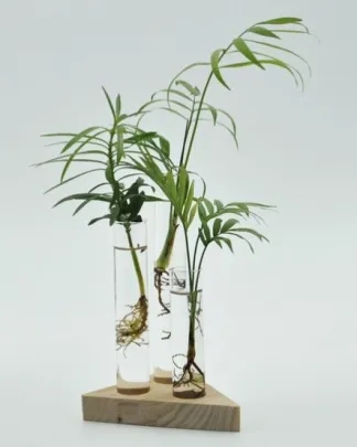 Suportes Tubos de Ensaio