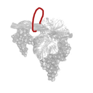 Cacho de Uvas Gesso Perfumado