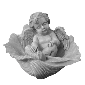 Molde Silicone 3D Anjo na Concha