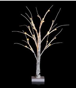 Arvore Natural Iluminada